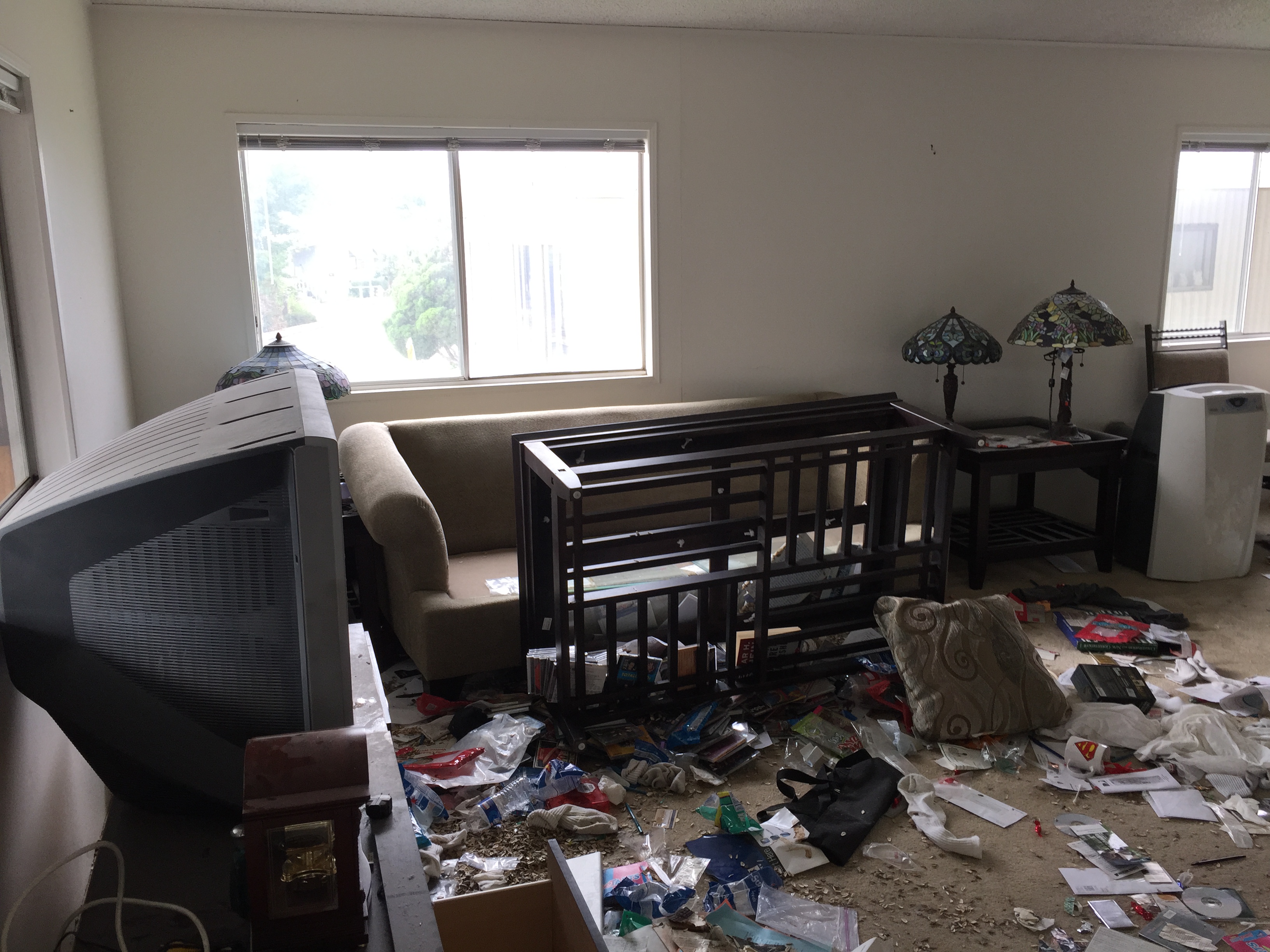 hoader cleaning los angeles