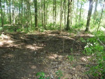 junk removal los angeles